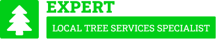 Franklin Tree Removal - Tree Removal Auckland